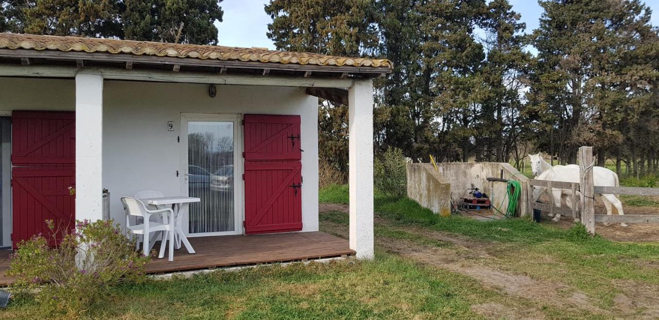 Mas Des Cypres Apartment Saintes-Maries-de-la-Mer Bagian luar foto
